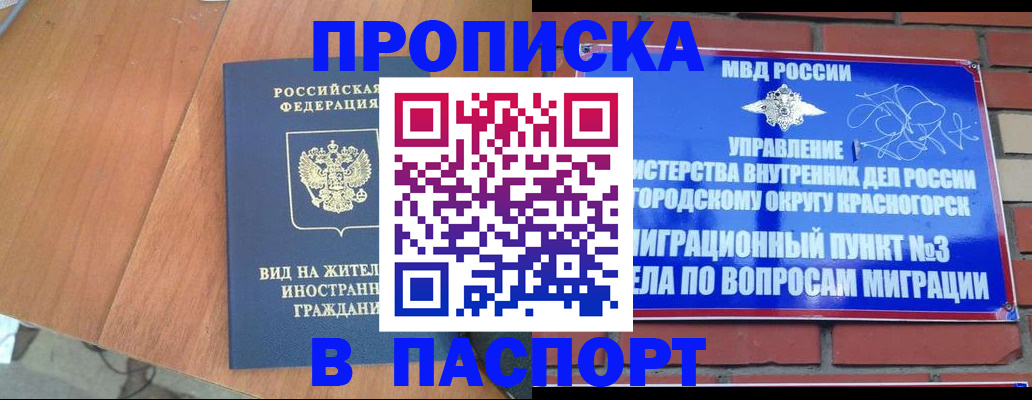 найти адрес прописки в Вельске